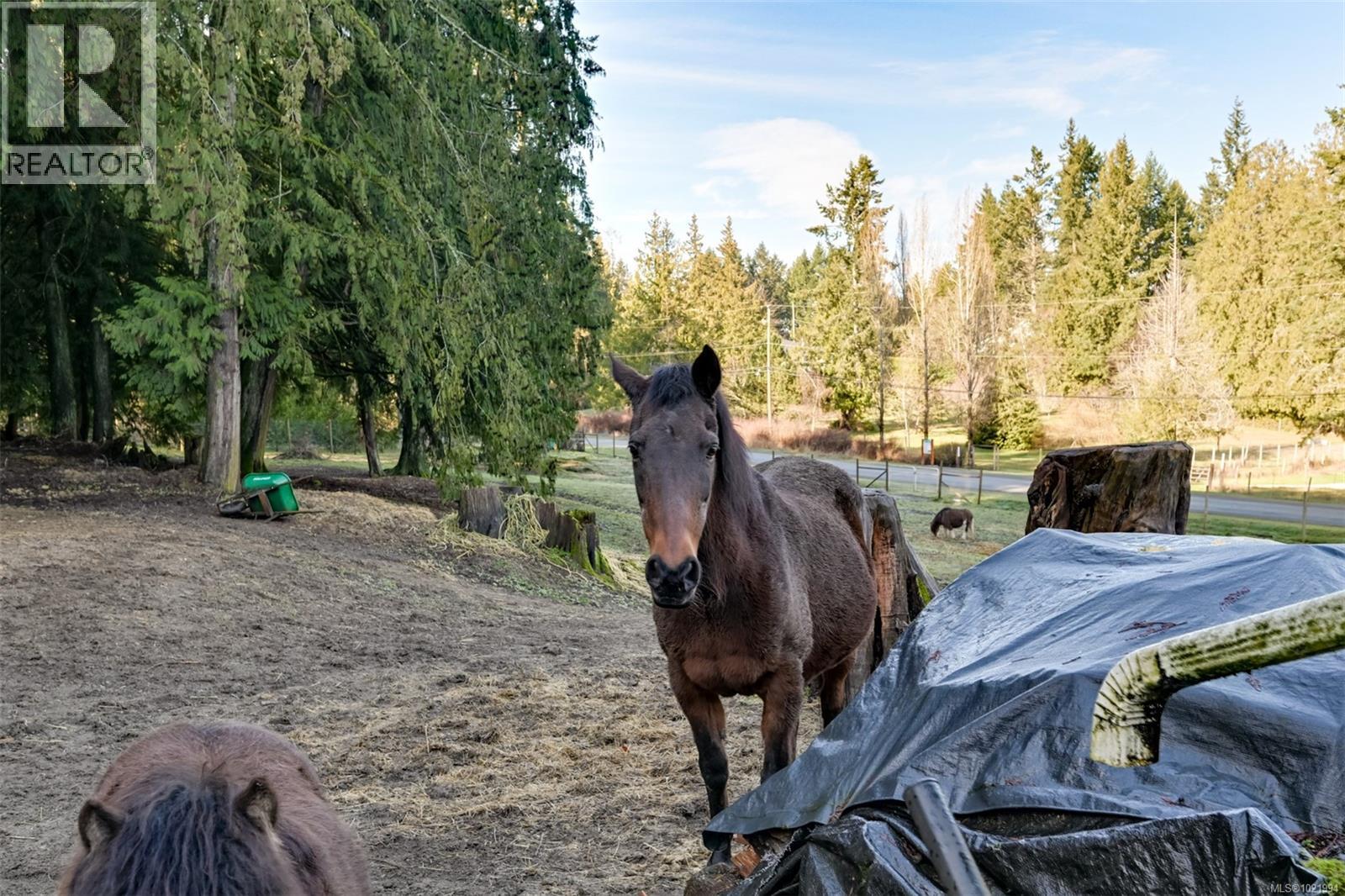 846 Aros Rd, Cobble Hill, British Columbia  V0R 1L4 - Photo 59 - 1021994
