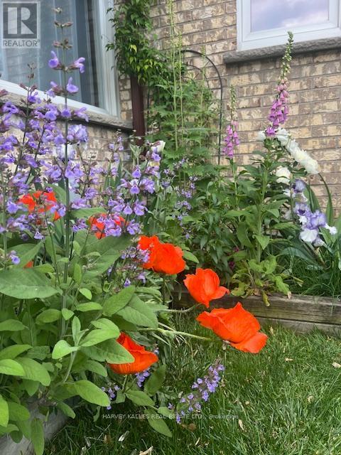 682 Willowbank Trail, Mississauga, Ontario  L4W 3L8 - Photo 50 - W12815034