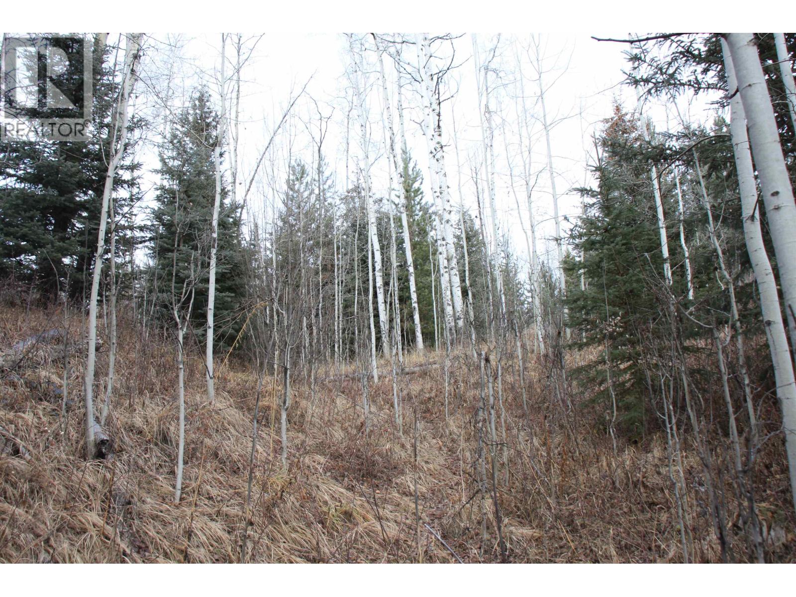 Prop Lot 15 Brown Road, Bridge Lake, British Columbia  V0K 1X2 - Photo 17 - R3093276