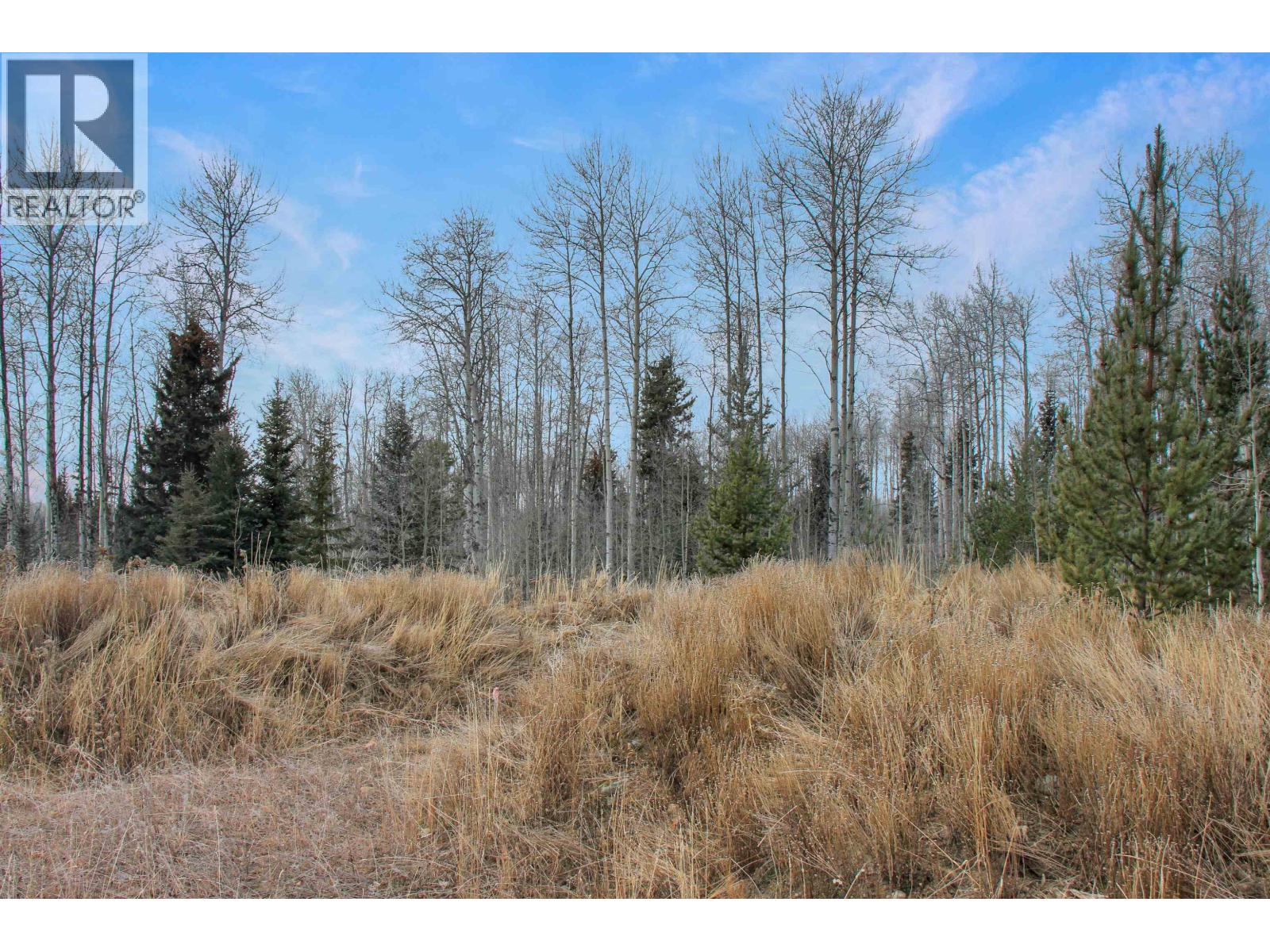 Prop Lot 15 Brown Road, Bridge Lake, British Columbia  V0K 1X2 - Photo 19 - R3093276