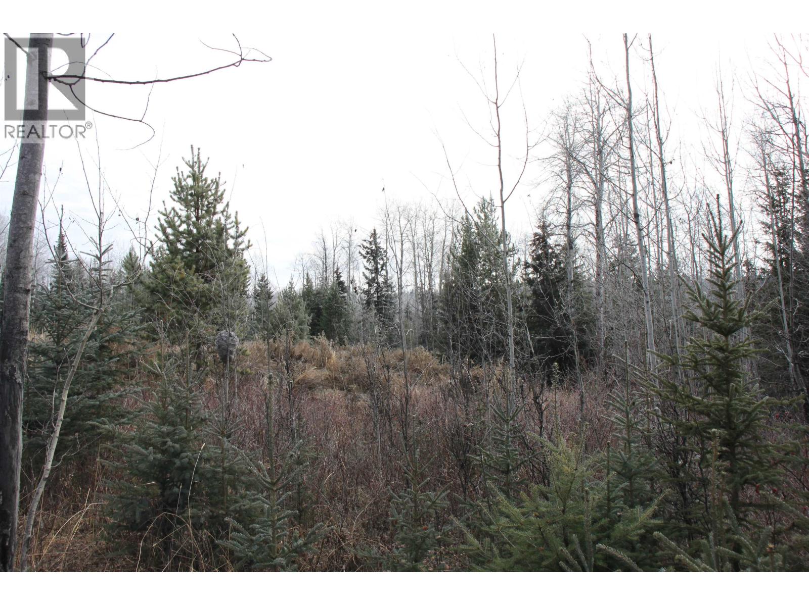 Prop Lot 15 Brown Road, Bridge Lake, British Columbia  V0K 1X2 - Photo 18 - R3093276