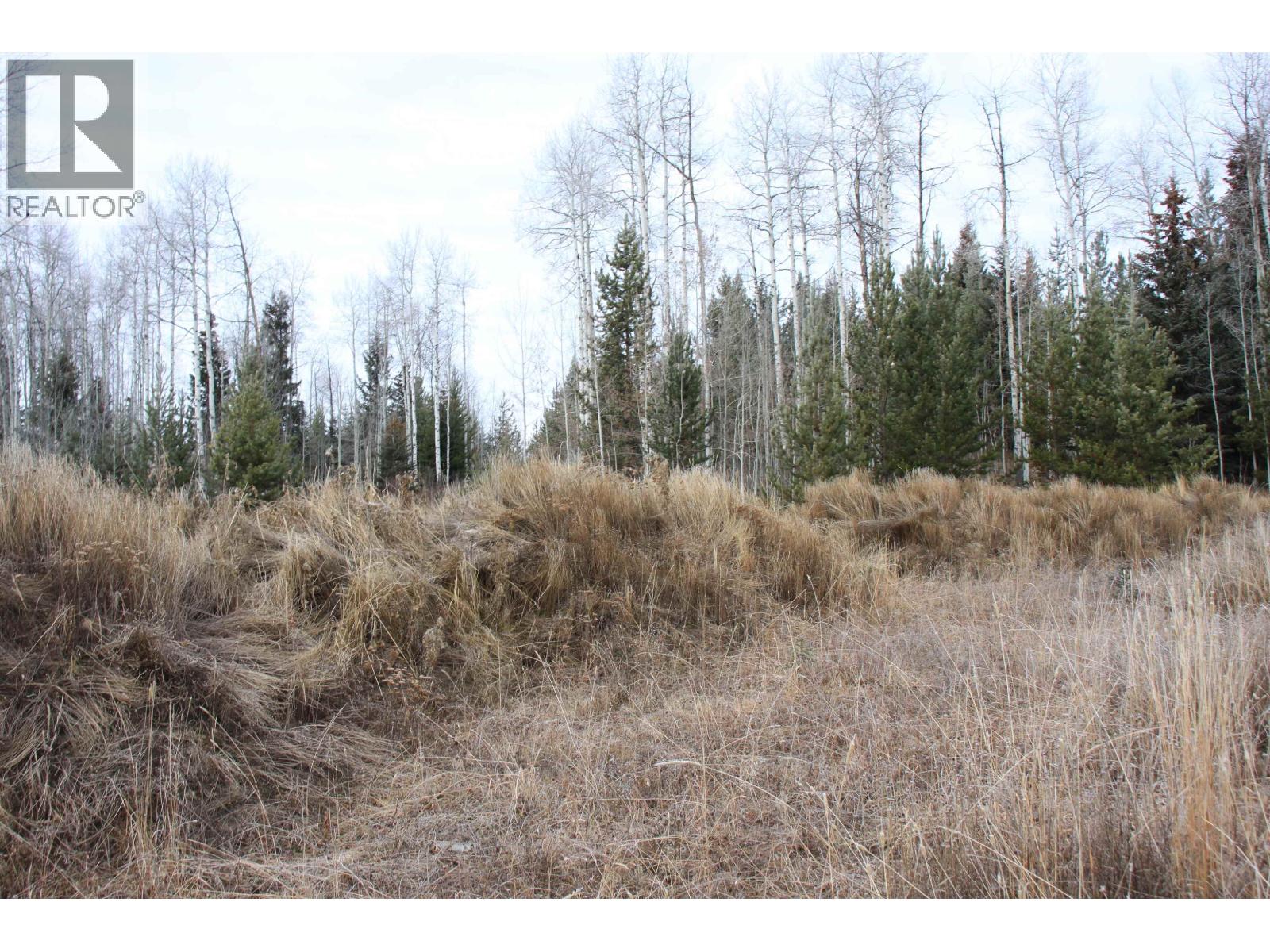 Prop Lot 15 Brown Road, Bridge Lake, British Columbia  V0K 1X2 - Photo 16 - R3093276