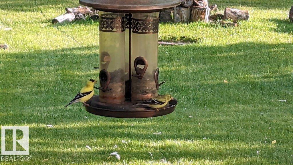 106 54500 Lac Ste Anne Trail, Rural Sturgeon County, Alberta  T8R 1Z1 - Photo 28 - E4473174