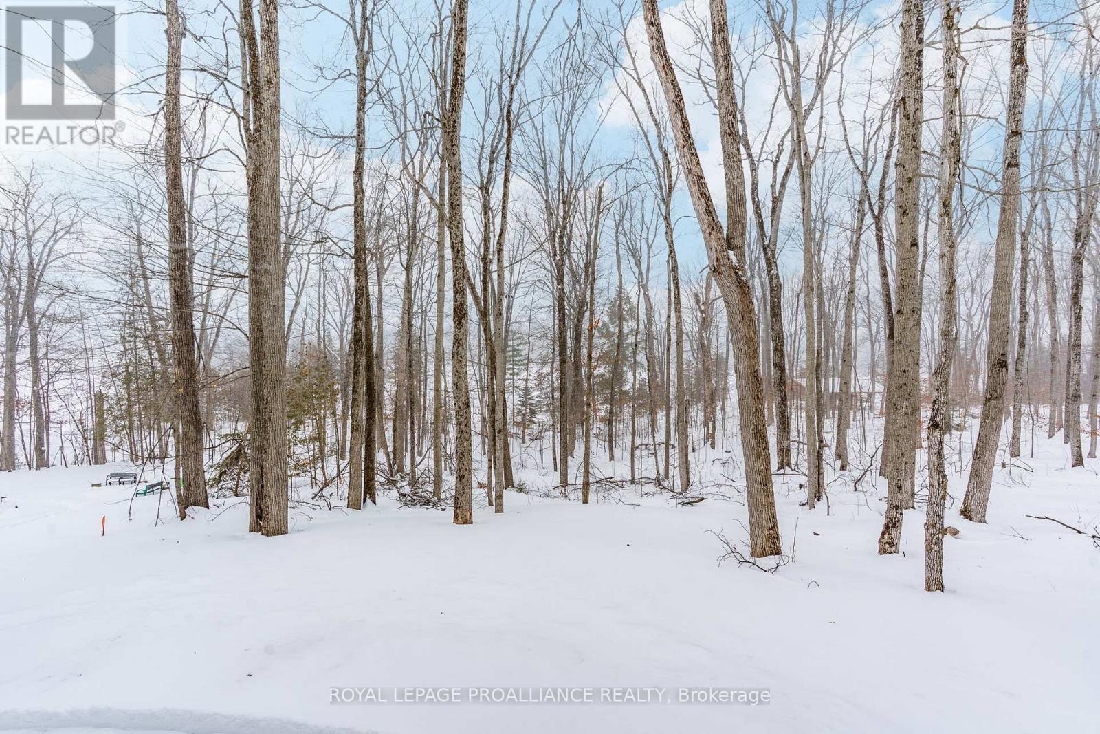 160 Sumcot Drive, Trent Lakes, Ontario  K0L 1J0 - Photo 43 - X12726574