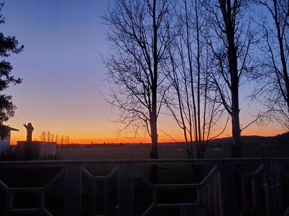 36113 Page Road, Abbotsford, British Columbia  V3G 1P3 - Photo 24 - R3090156