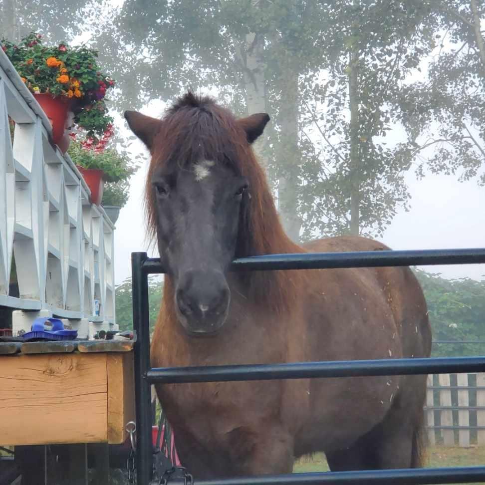 36113 Page Road, Abbotsford, British Columbia  V3G 1P3 - Photo 34 - R3090156