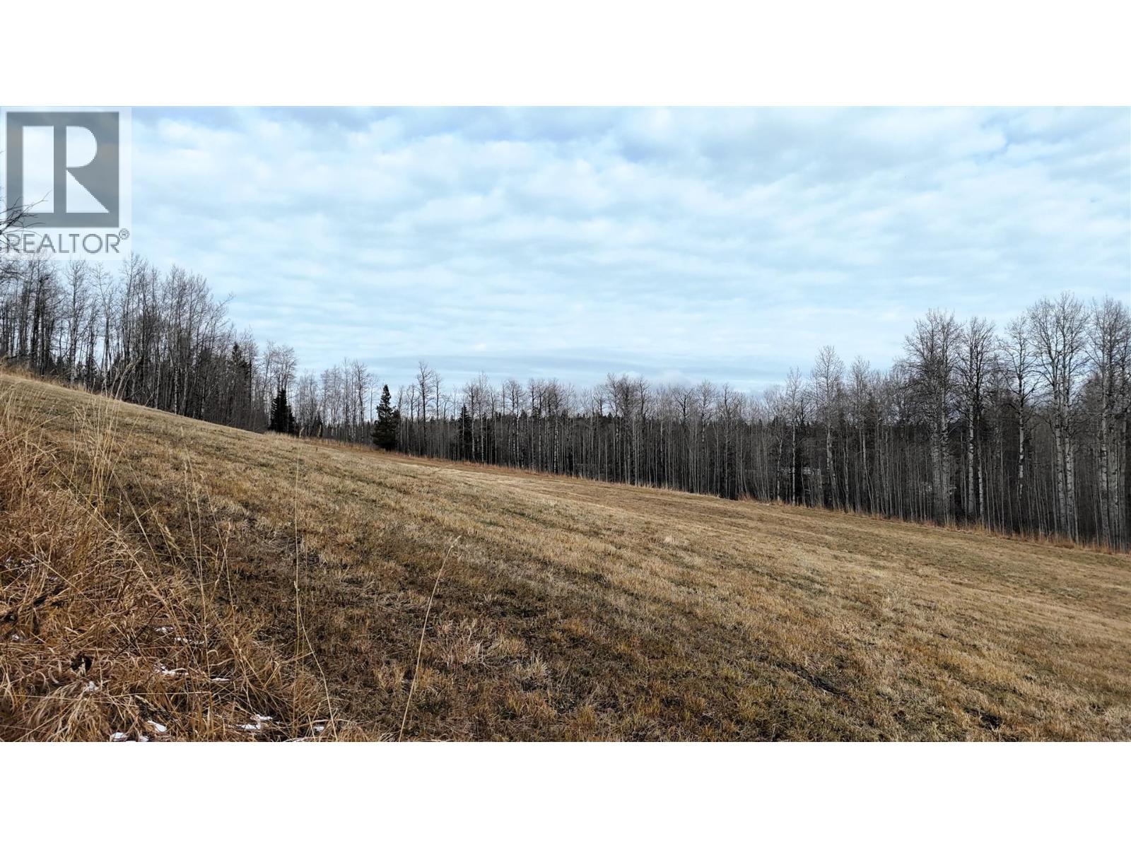 Lot 3 Falcon Road, Bridge Lake, British Columbia  V0K 1E0 - Photo 10 - R3071923