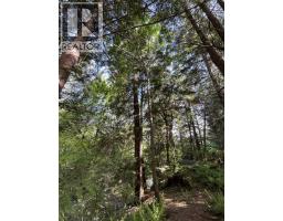 9063 PARADISE VALLEY ROAD, Squamish, British Columbia