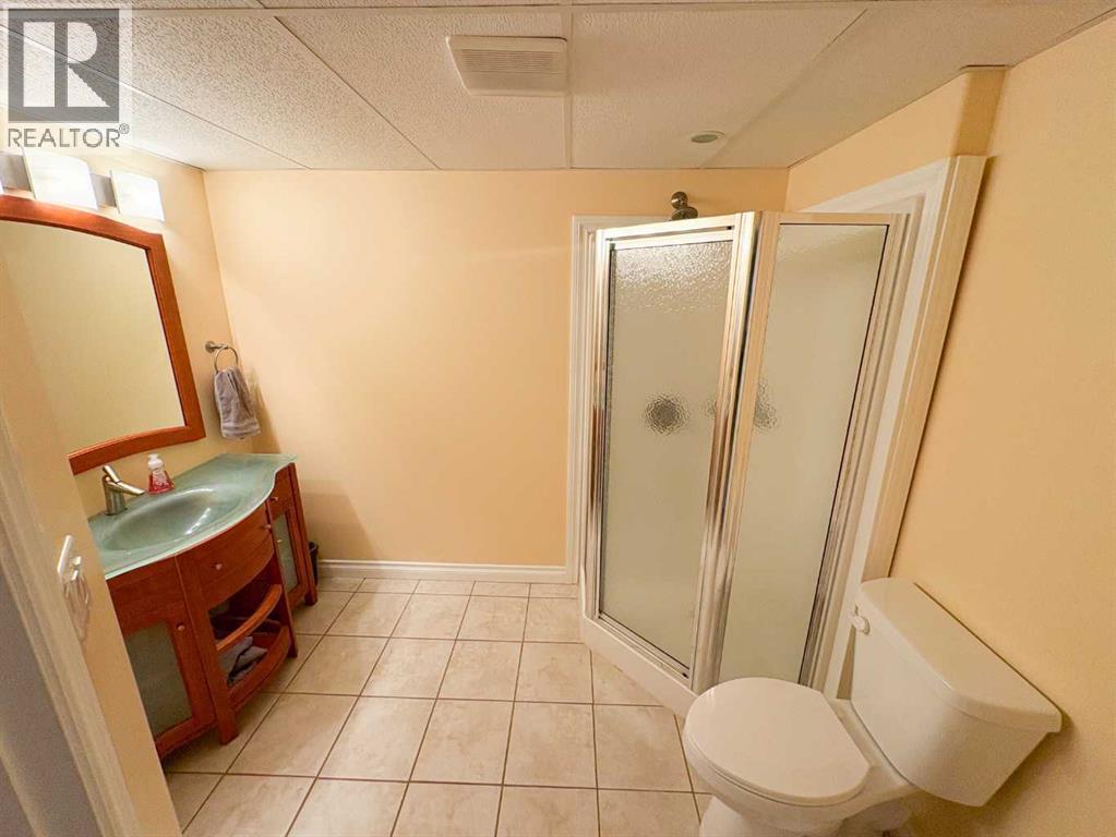 4122 48 Avenue, Mayerthorpe, Alberta  T0E 1N0 - Photo 29 - A2286985