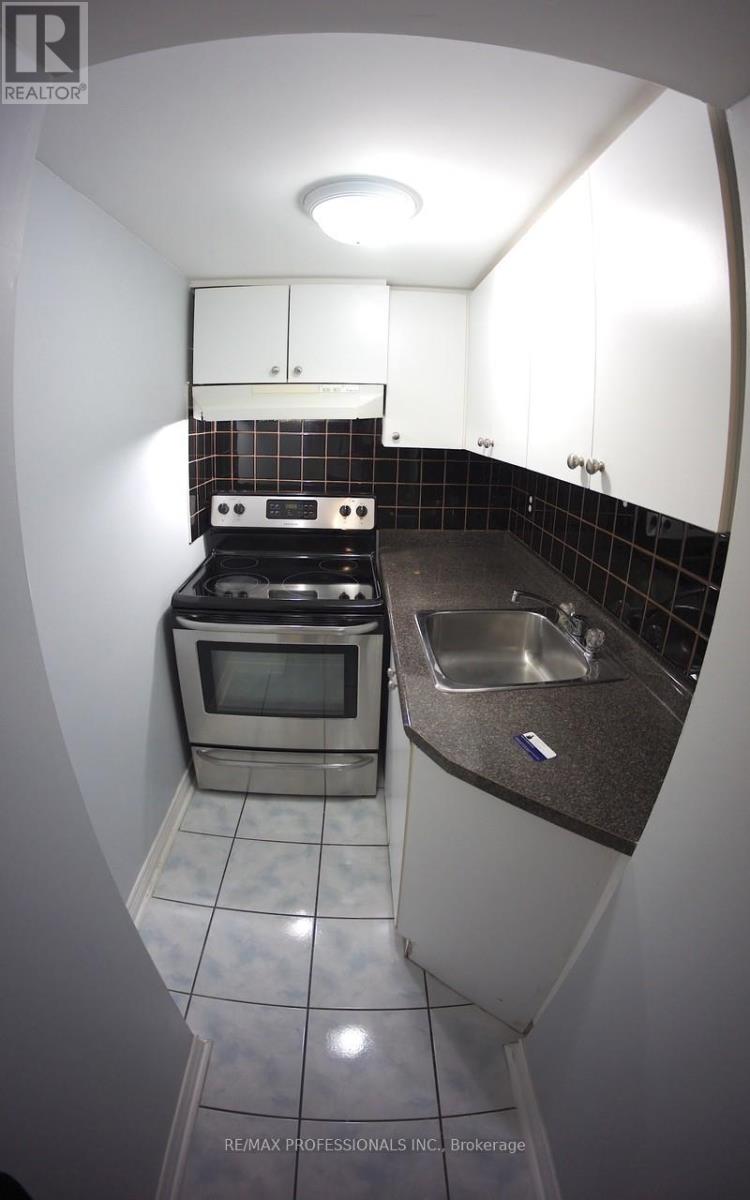 Basement - 143 Nahani Way, Mississauga, Ontario  L4Z 4J9 - Photo 6 - W12817768