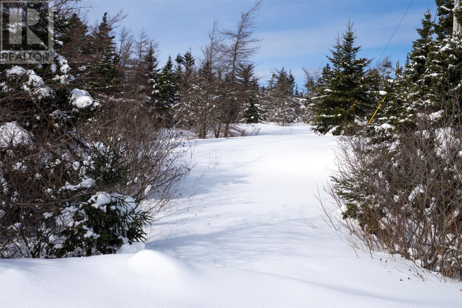 0 River Rd, Blaketown, Newfoundland & Labrador  A0B 1C0 - Photo 19 - 1294751
