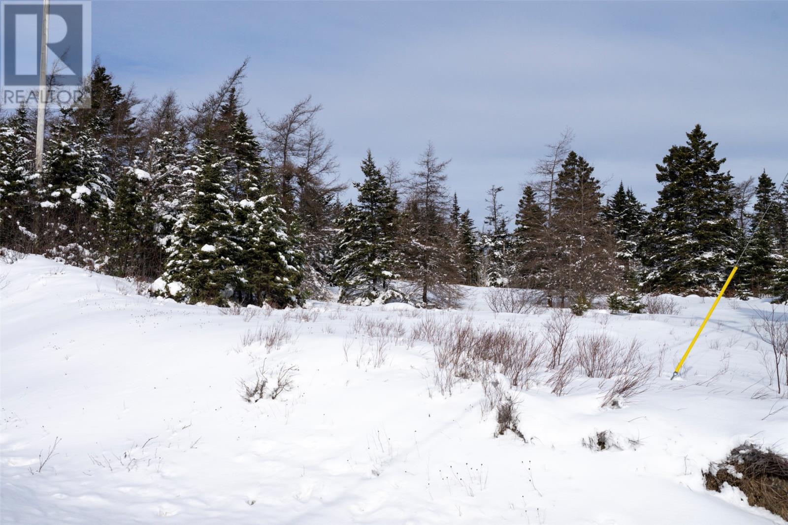 0 River Rd, Blaketown, Newfoundland & Labrador  A0B 1C0 - Photo 20 - 1294751