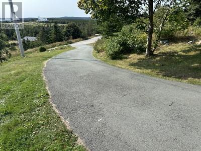 16 Johnsons Road, Gull Island, Newfoundland & Labrador  A0A 1M0 - Photo 21 - 1290831