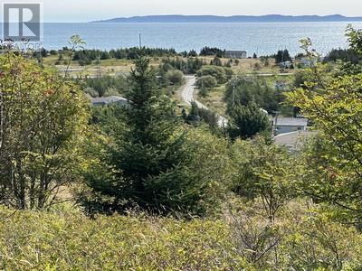 16 Johnsons Road, Gull Island, Newfoundland & Labrador  A0A 1M0 - Photo 10 - 1290831