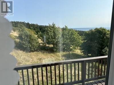 16 Johnsons Road, Gull Island, Newfoundland & Labrador  A0A 1M0 - Photo 26 - 1290831