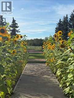 19252 462 Township, Rural Camrose County, Alberta  T4V 1X8 - Photo 37 - A2287222