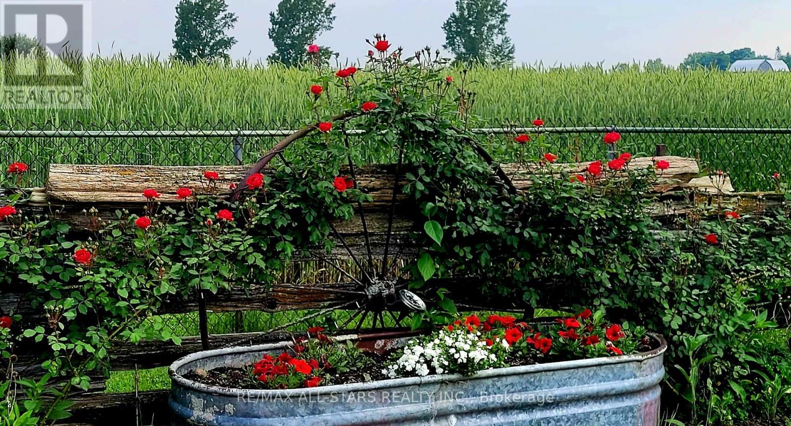 874 Monarch Road, Kawartha Lakes, Ontario  K9V 4R1 - Photo 41 - X12817888