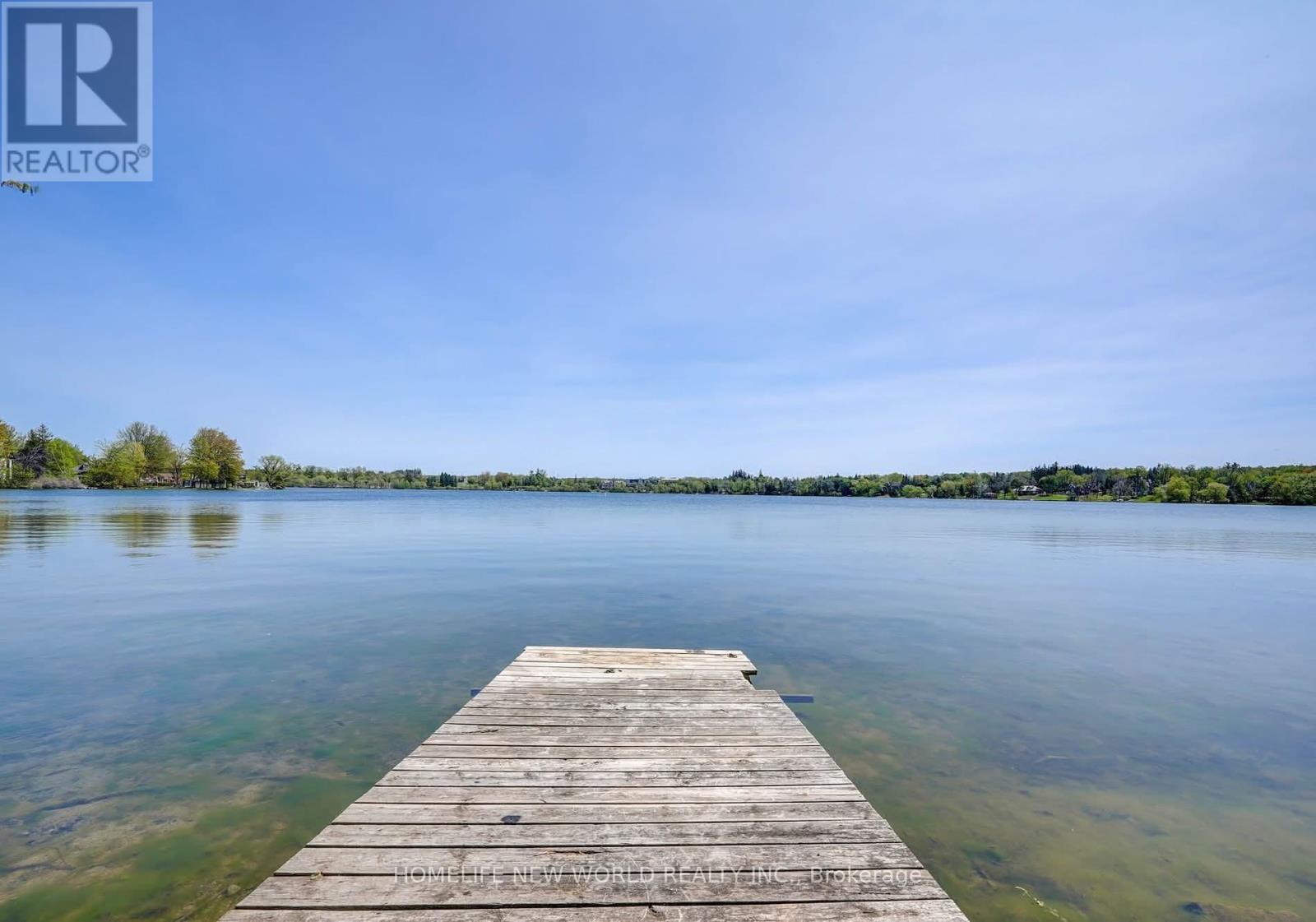 253 Lakeland Crescent, Richmond Hill (Oak Ridges Lake Wilcox), Ontario  L4E 3A6 - Photo 38 - N12817868