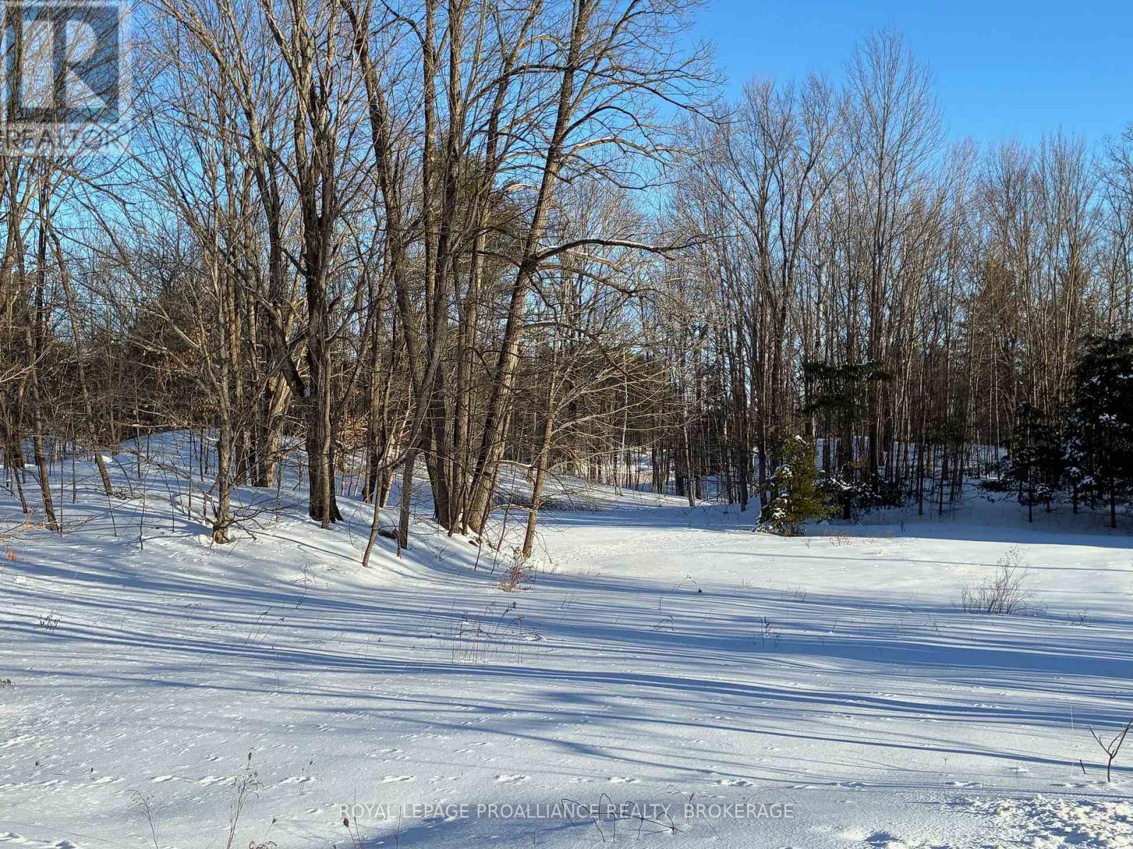 Pt Lt 2 Desert Lake Road, Frontenac (Frontenac South), Ontario  K0H 2W0 - Photo 3 - X12811800