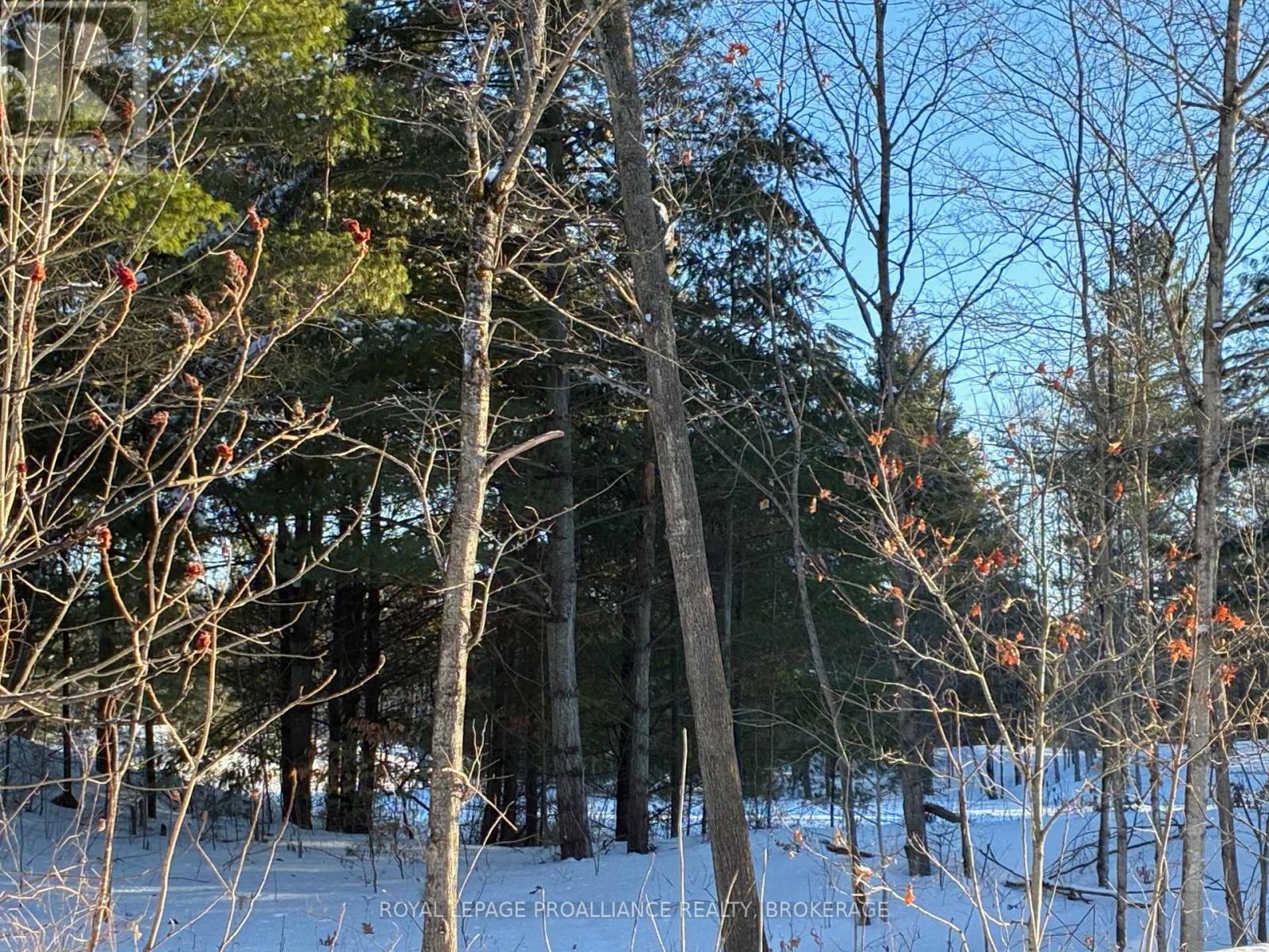 Pt Lt 2 Desert Lake Road, Frontenac (Frontenac South), Ontario  K0H 2W0 - Photo 2 - X12811800