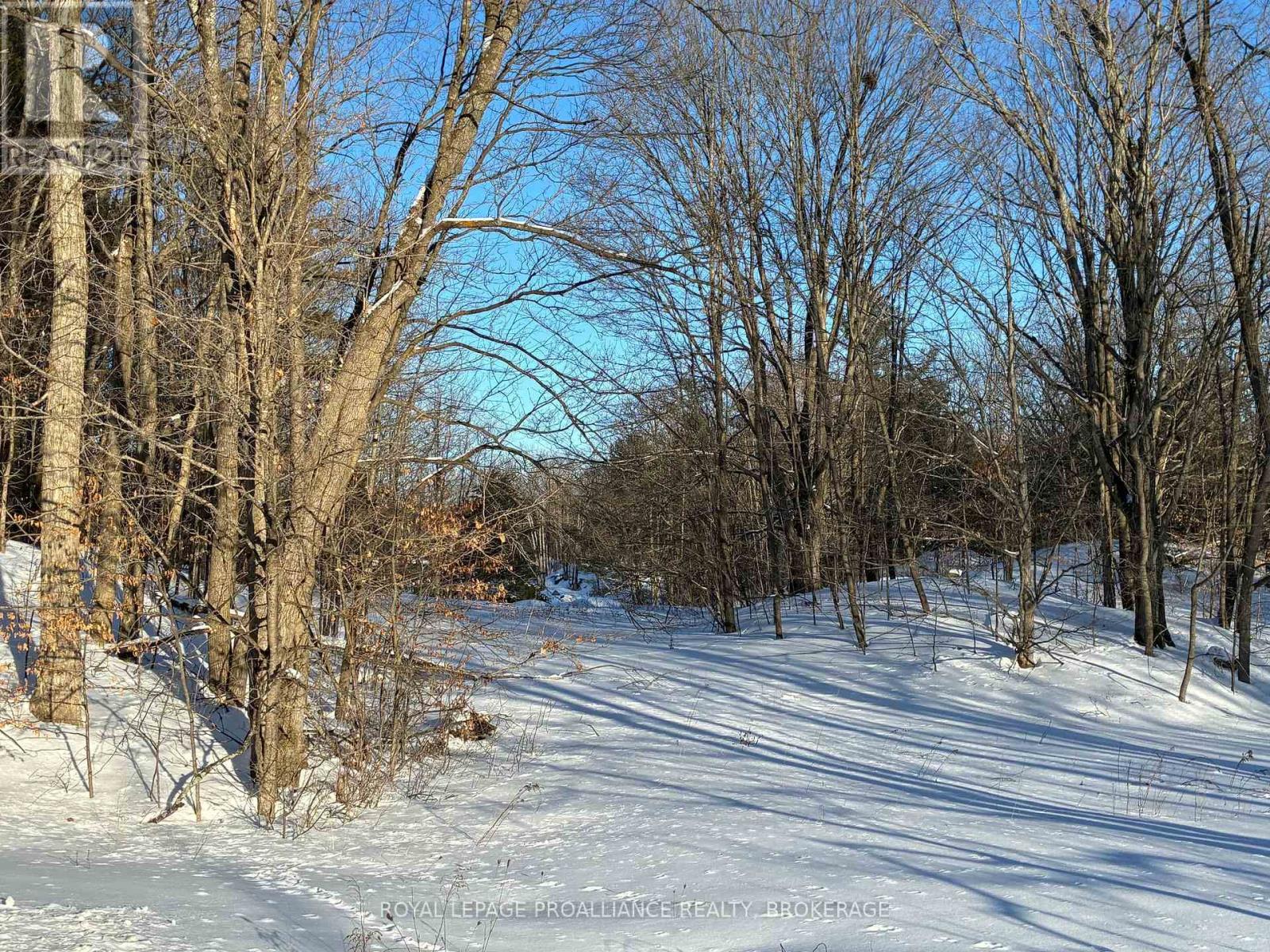 Pt Lt 2 Desert Lake Road, Frontenac (Frontenac South), Ontario  K0H 2W0 - Photo 4 - X12811800