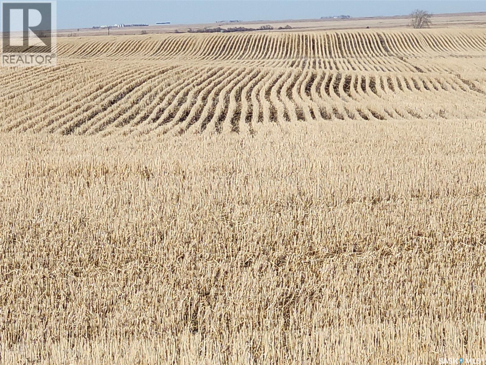 Bert Quarter, Laurier Rm No. 38, Saskatchewan  S0C 2G0 - Photo 6 - SK029094