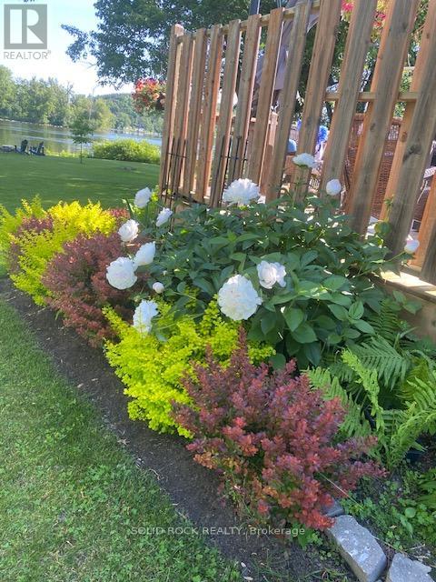 49 Cooke Armstrong Road, Quinte West, Ontario  K0K 2C0 - Photo 37 - X12817910