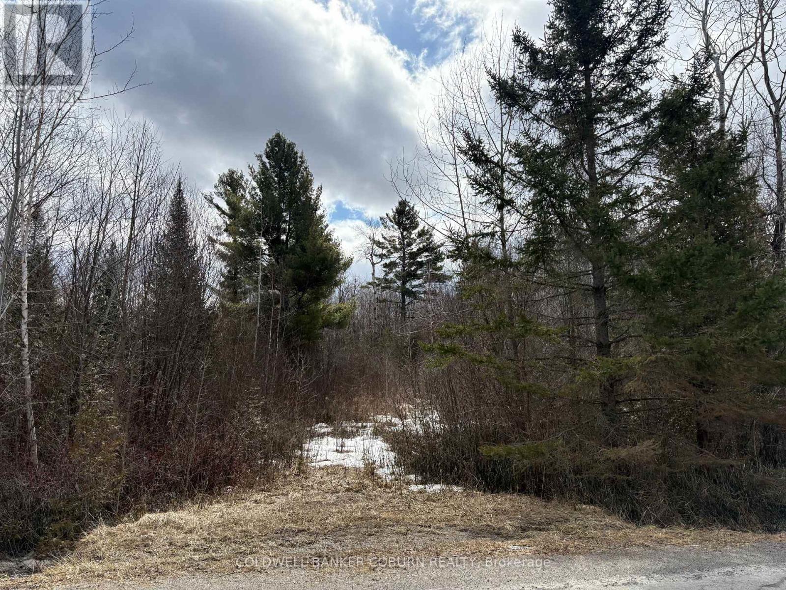 2035 Ventnor Road, Edwardsburgh/cardinal, Ontario  K0E 1X0 - Photo 2 - X12817928