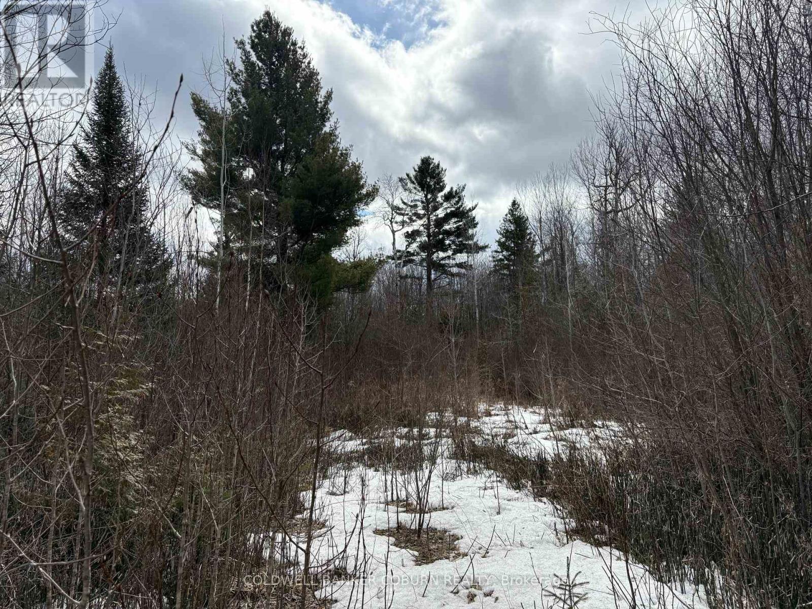 2035 Ventnor Road, Edwardsburgh/cardinal, Ontario  K0E 1X0 - Photo 3 - X12817928