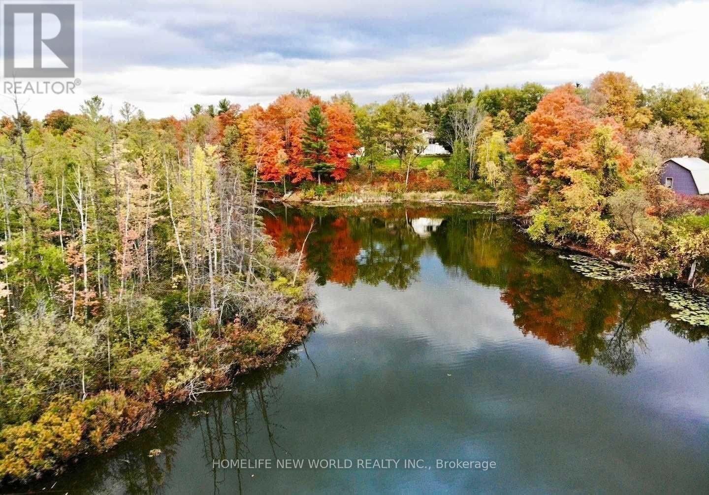 3134 Bloomington Road, Whitchurch-Stouffville, Ontario  L4A 7X5 - Photo 40 - N12817904