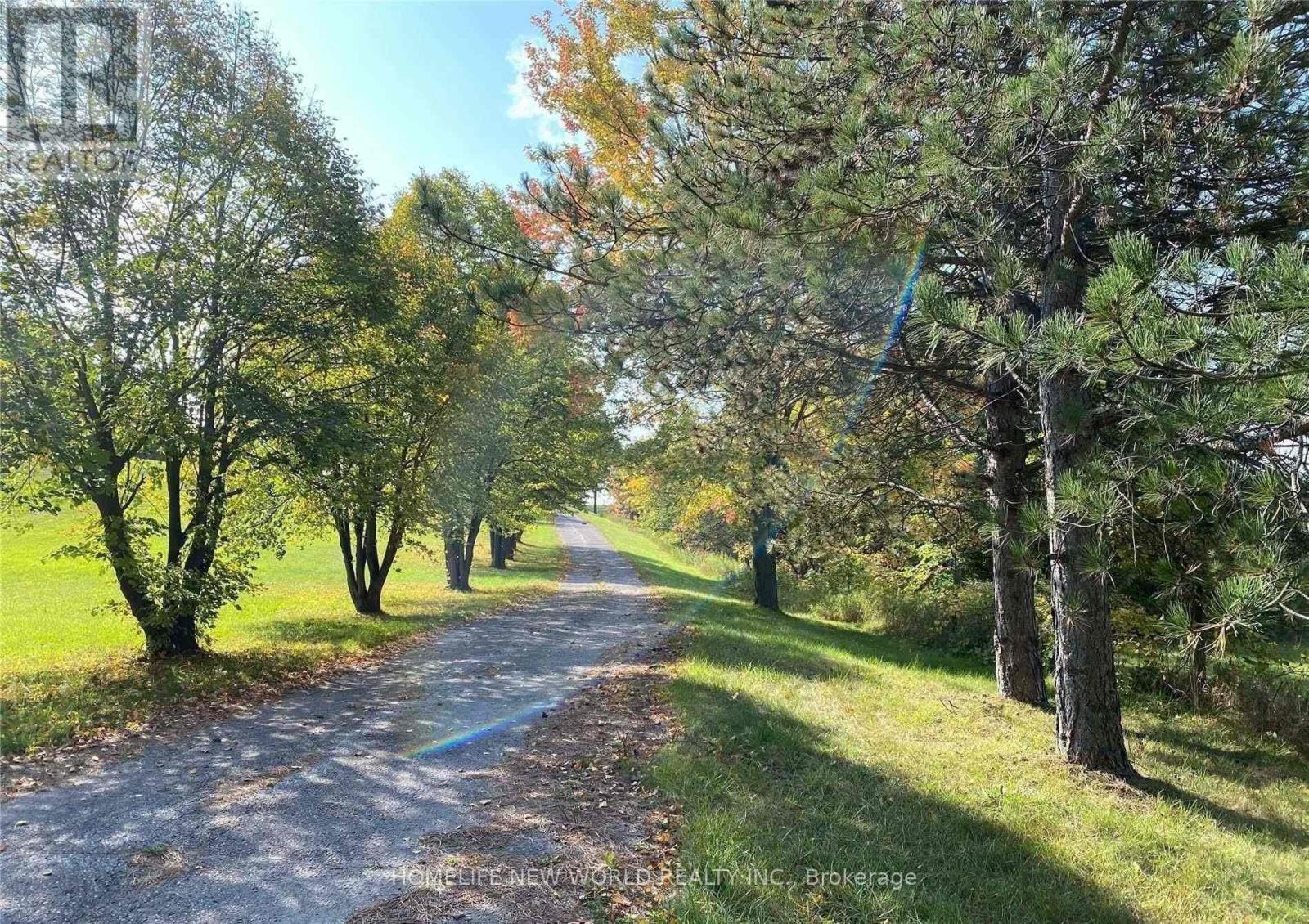 3134 Bloomington Road, Whitchurch-Stouffville, Ontario  L4A 7X5 - Photo 43 - N12817904