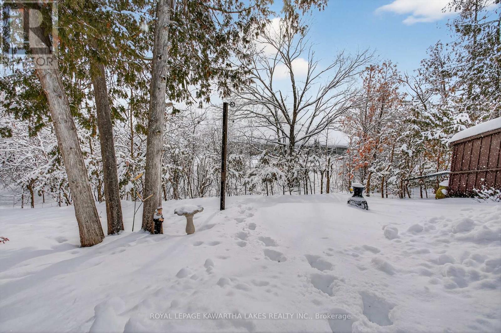 20 Cedartree Lane, Kawartha Lakes, Ontario  K0M 1A0 - Photo 45 - X12817958