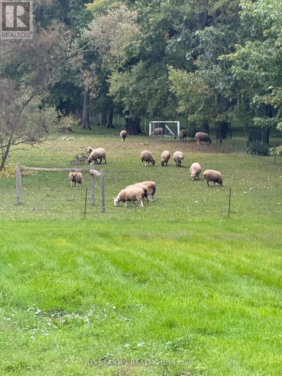 612 Trillium Drive, Southwest Middlesex, Ontario  N0L 1Z0 - Photo 38 - X12818024