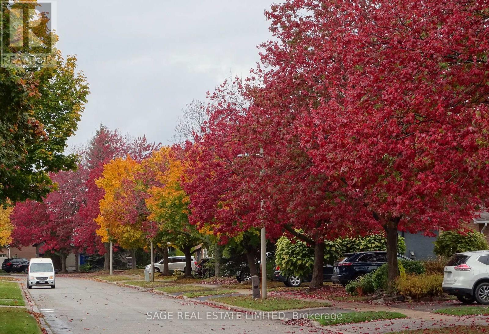 3036 Swansea Drive, Oakville, Ontario  L6L 6H9 - Photo 34 - W12818046