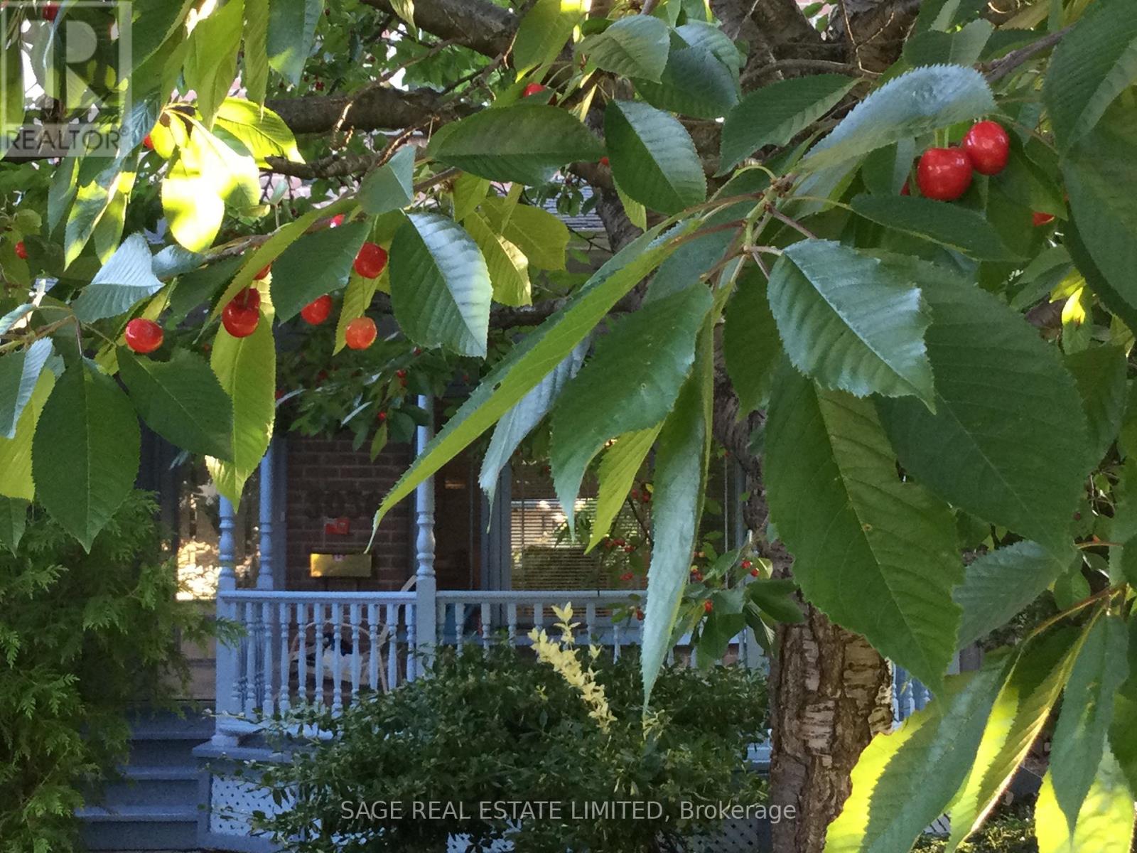 3036 Swansea Drive, Oakville, Ontario  L6L 6H9 - Photo 35 - W12818046