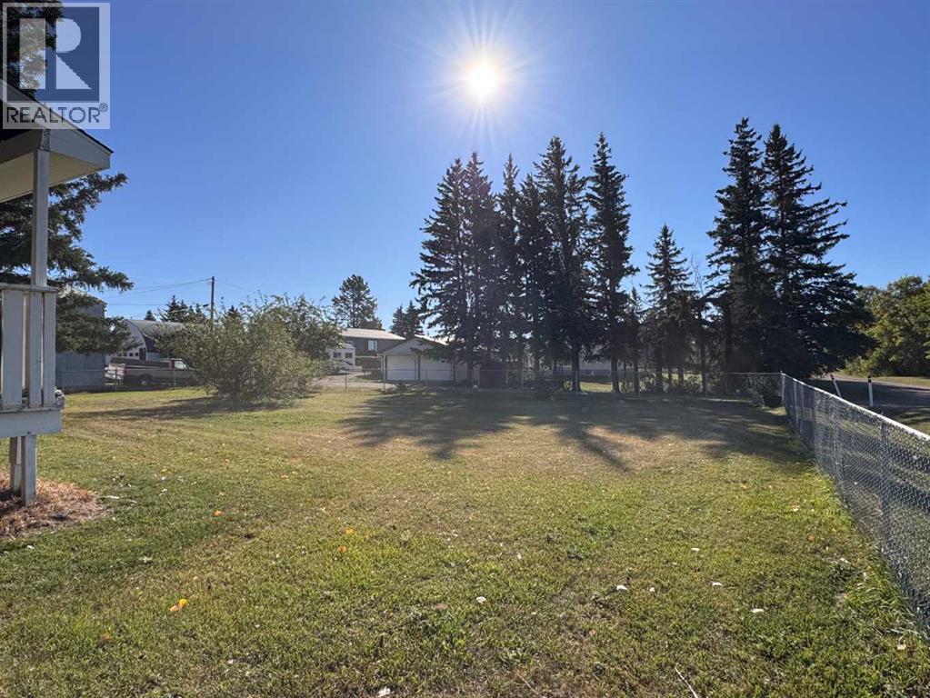 3219 Olson Street, Donalda, Alberta  T0B 1H0 - Photo 39 - A2258337