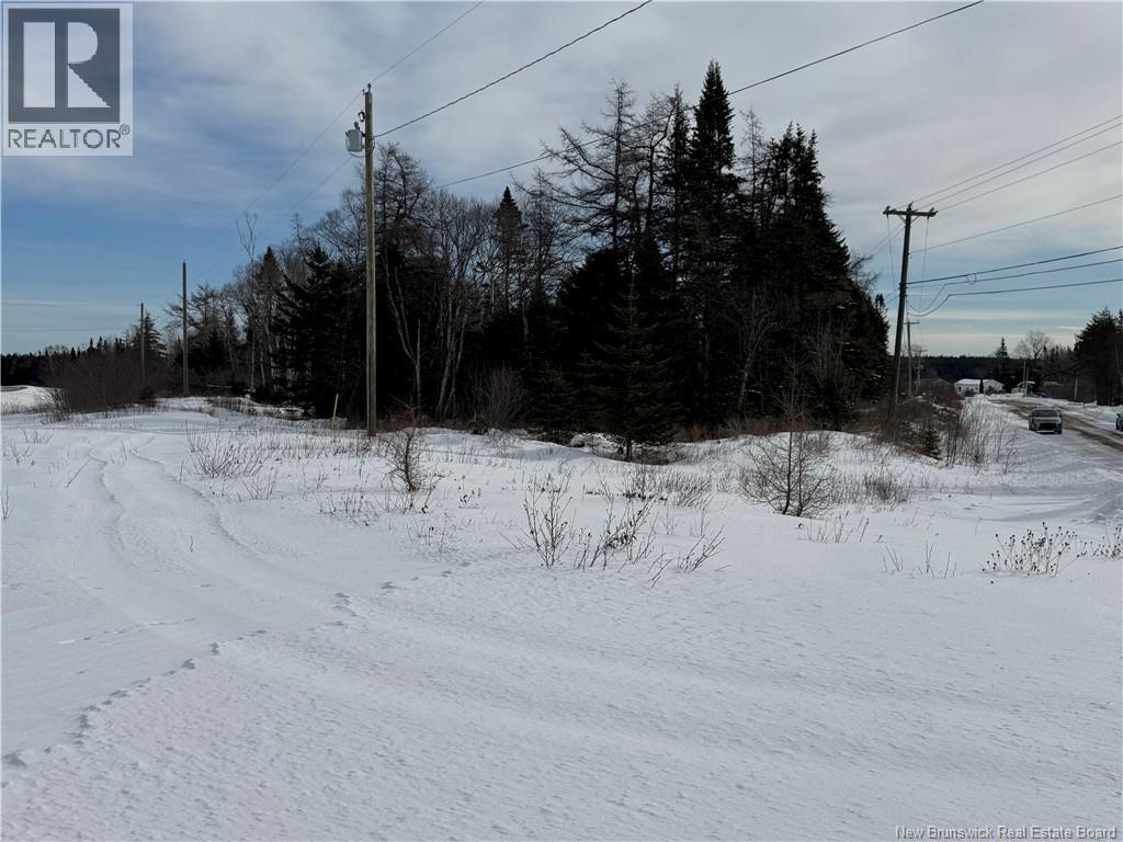 Lorem Ipsum Dol, Lepreau, New Brunswick  E5J  - Photo 7 - DEMO29396565