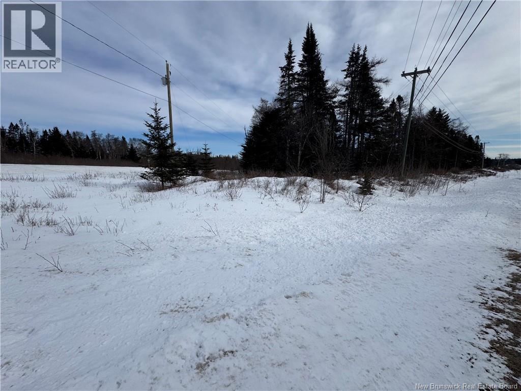 Lorem Ipsum Dol, Lepreau, New Brunswick  E5J  - Photo 6 - DEMO29396565