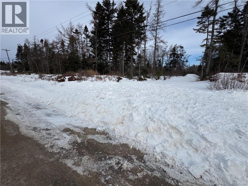 Lorem Ipsum Dol, Lepreau, New Brunswick  E5J  - Photo 5 - DEMO29396565