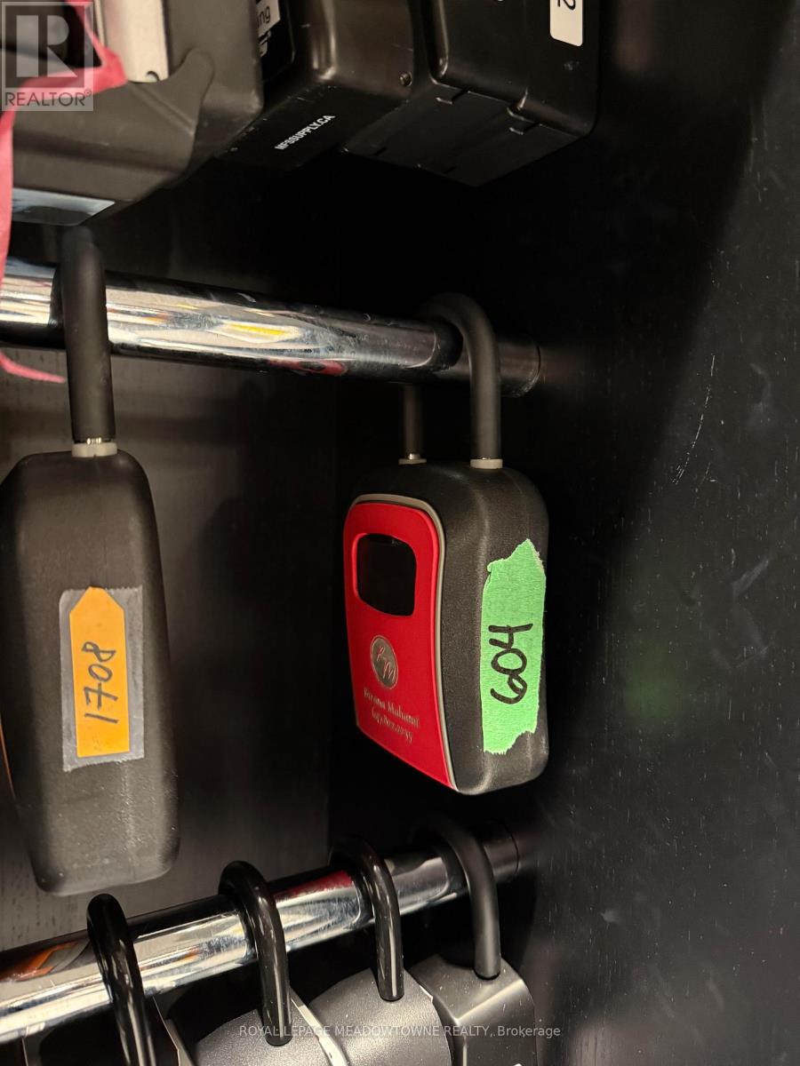 604 - 327 King Street, Toronto (Waterfront Communities), Ontario  M5V 0W7 - Photo 16 - C12808046