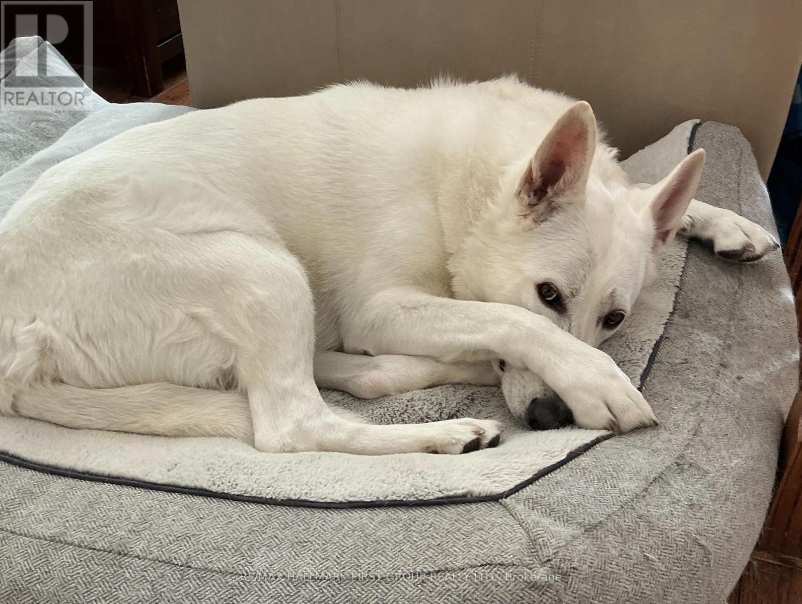 1 - 361 LINDEN STREET