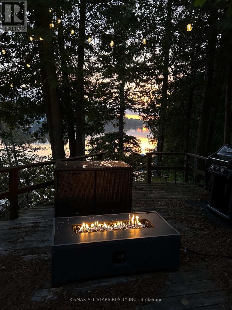 242 Francis Street E, Kawartha Lakes (Fenelon Falls), Ontario  K0M 1N0 - Photo 36 - X12818420