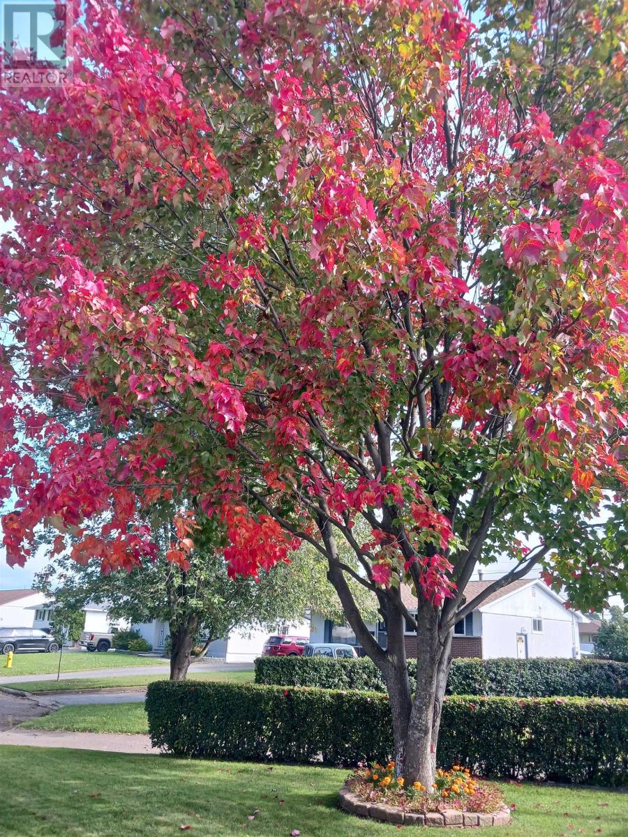 467 Sycamore Pl, Thunder Bay, Ontario  P7C 1X3 - Photo 34 - TB2600292