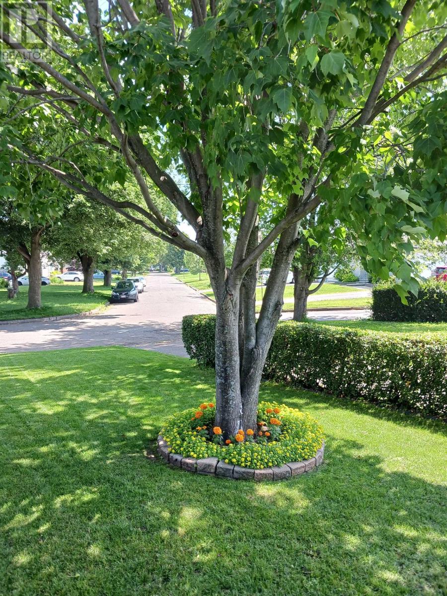 467 Sycamore Pl, Thunder Bay, Ontario  P7C 1X3 - Photo 35 - TB2600292