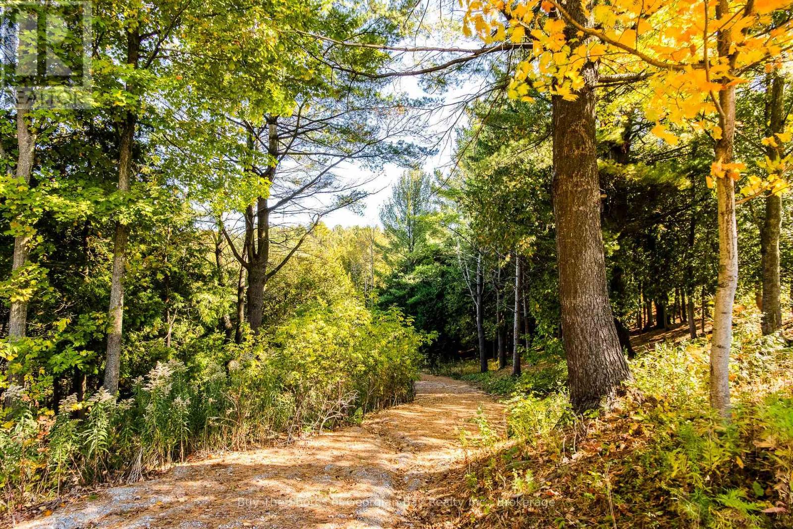 399 Dawson's Side Road, Tiny, Ontario  L0K 2T0 - Photo 39 - S12412400