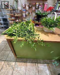 3045 Clayhill Road, Mississauga, Ontario  L5B 4L2 - Photo 4 - W12818920