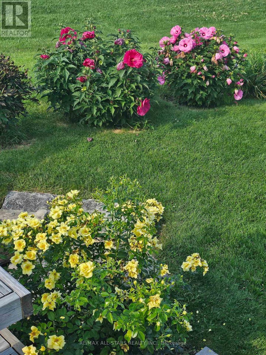 37 Creekside Circle, Kawartha Lakes, Ontario  K0M 1L0 - Photo 34 - X12818716