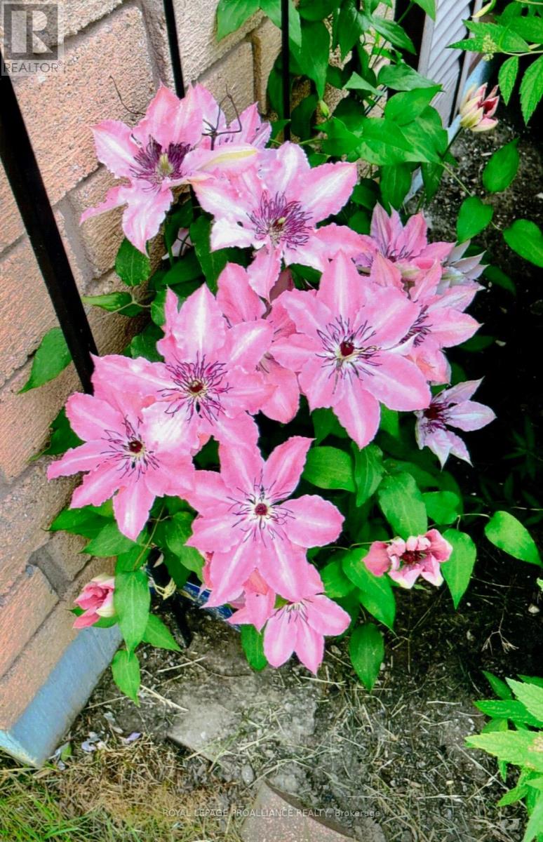 97 Prospect Hill, Quinte West, Ontario  K8V 2V4 - Photo 32 - X12818724