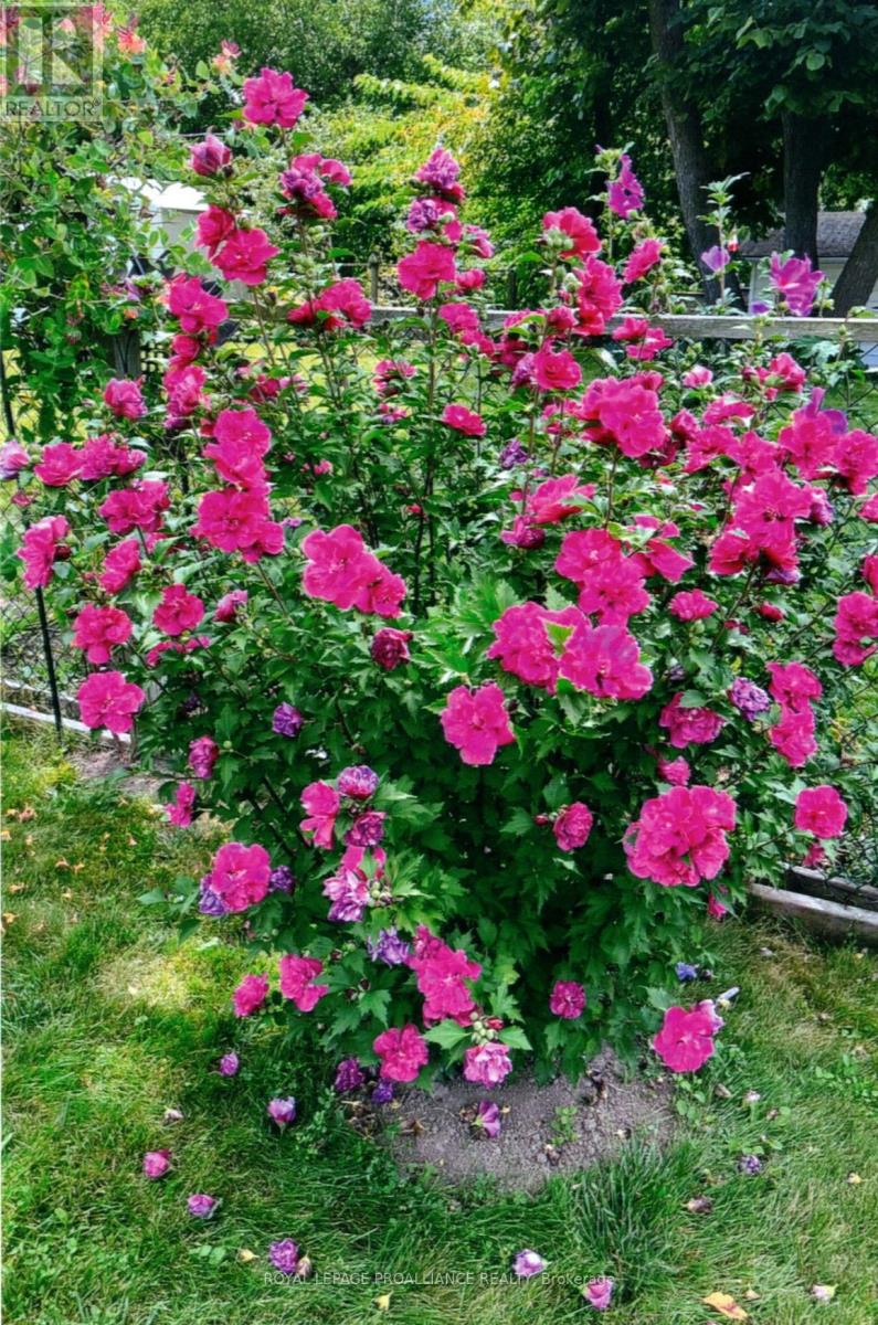 97 Prospect Hill, Quinte West, Ontario  K8V 2V4 - Photo 34 - X12818724