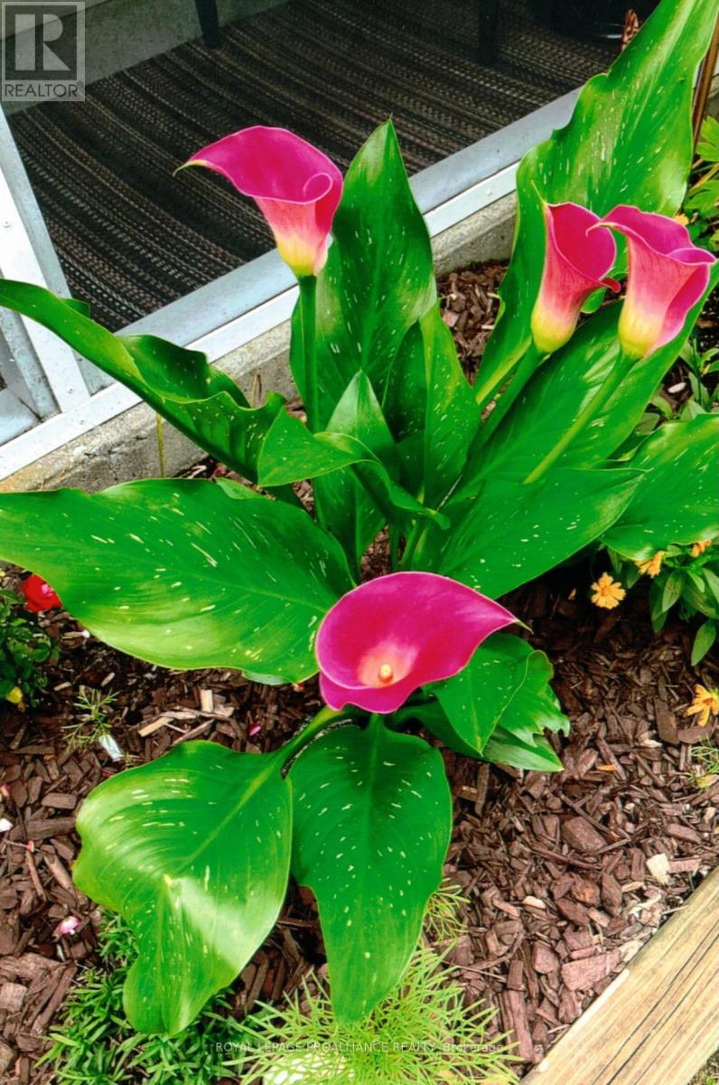 97 Prospect Hill, Quinte West, Ontario  K8V 2V4 - Photo 35 - X12818724